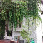 recommendations for CAFE KATEMAO