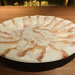 recommendations for SALUMIILAND TOKYO