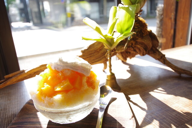 ｃａｆｅ ｂａｌｉ ｇａｓｉ 北山的實拍高清圖
