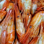 丹野商店的實拍圖