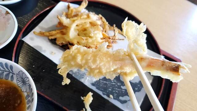 天松的實拍高清圖