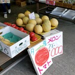 竹中的实拍图