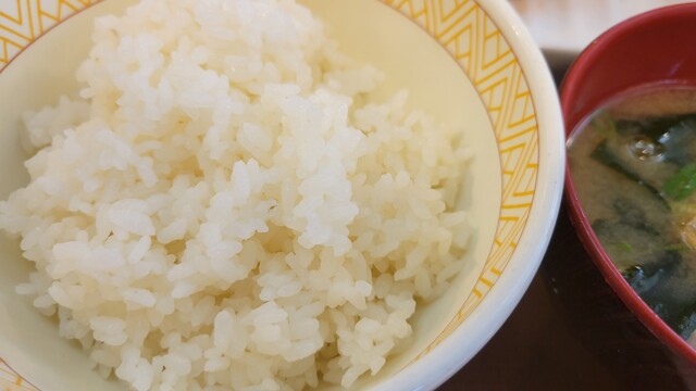 すき家 札幌北33条店的实拍高清图