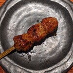鶏鷹的實拍圖