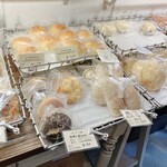 recommendations for スギノキ