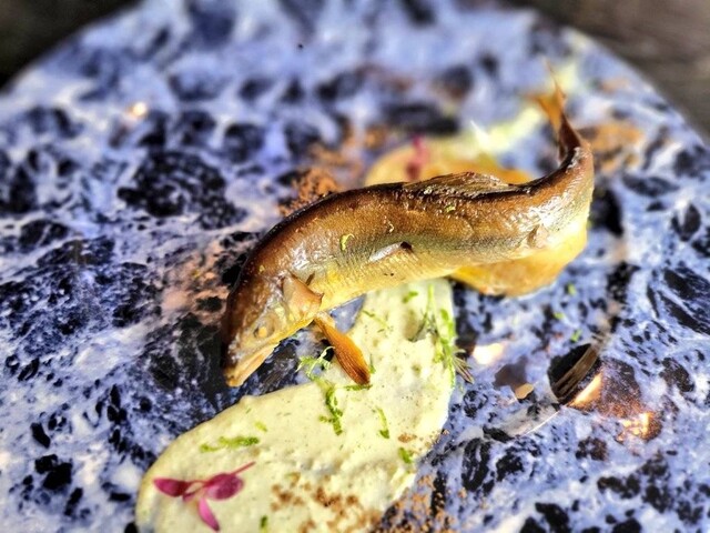 recommendations image for MAISON DE CAVIAR BELUGA