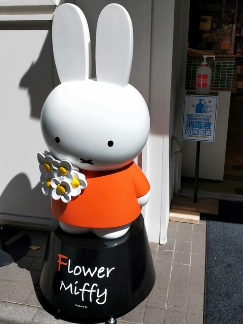 recommendations image for フラワーミッフィー 浅草店