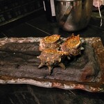 ニンジャ トウキョウ的實拍圖