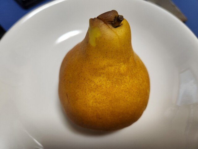 岡村果樹園的实拍高清图