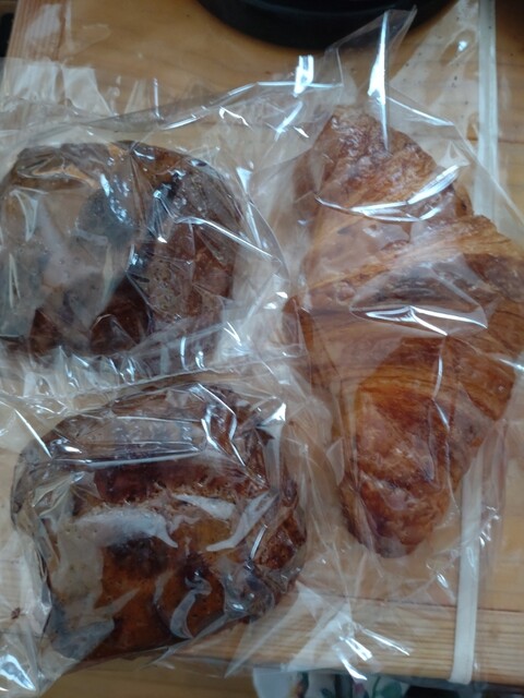 recommendations image for スギノキ