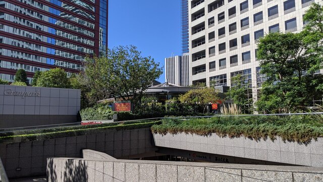 威南記海南鶏飯 日本本店的實拍高清圖