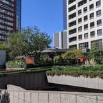威南記海南鶏飯 日本本店的實拍圖