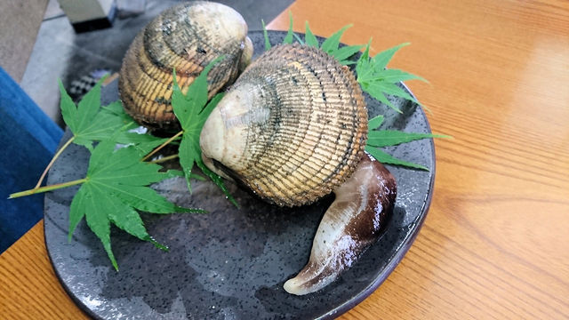 平の家的实拍高清图