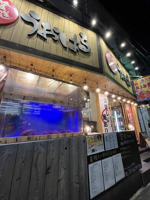 山陰漁港直送 うおはる的實拍高清圖