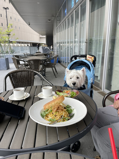 MLB café FUKUOKA的實拍高清圖