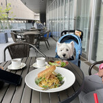 MLB café FUKUOKA的實拍圖