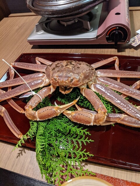 夕日ヶ浦温泉 佳松苑はなれ櫂的實拍高清圖