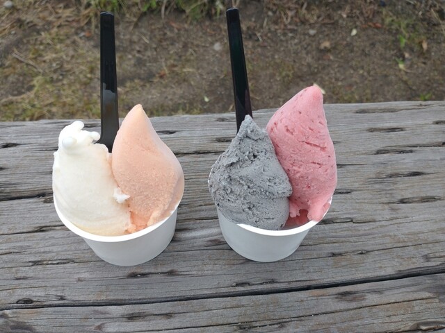 COCO GELATO 糸島店的實拍高清圖