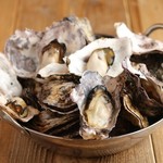 recommendations for サカナトニック BACU