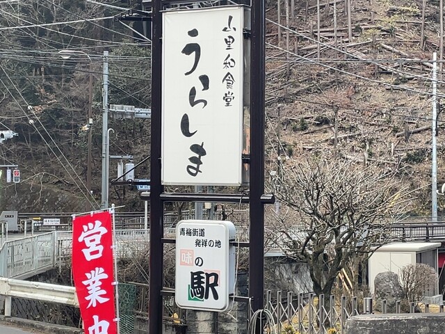割烹うらしま的实拍高清图