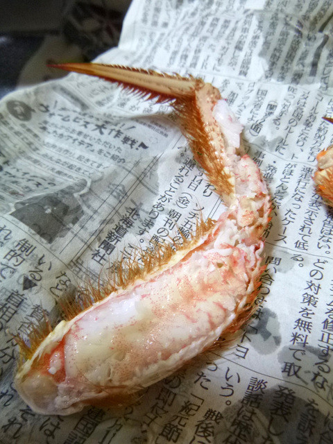 丸吾水産的實拍高清圖