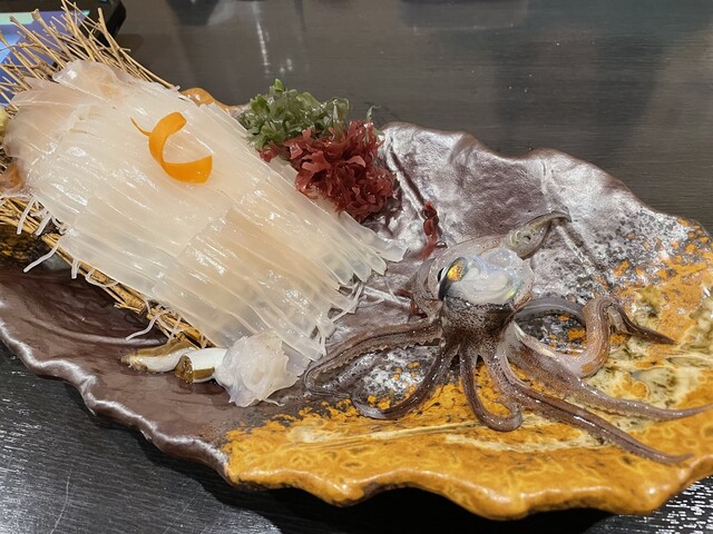 三海の華的實拍高清圖