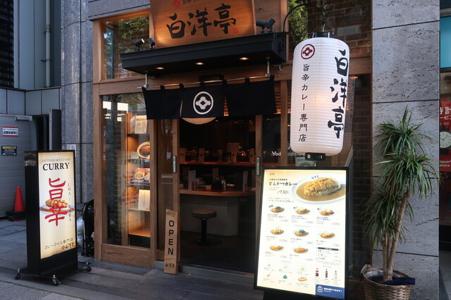 旨辛カレー専門店 白洋亭的实拍高清图