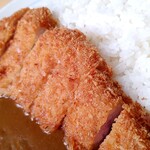プリシード的实拍图