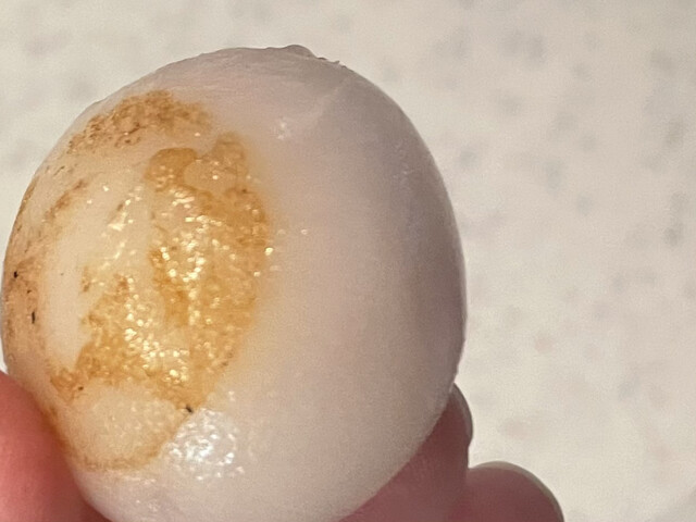 recommendations image for むか新 本店