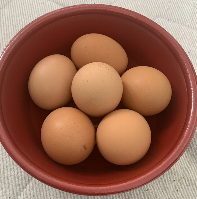 肉 Needs的实拍高清图