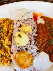 京都スパイスカレー KAAYA的实拍图