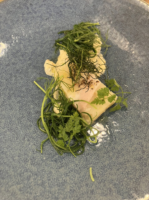 TEPATOMOKA的實拍高清圖