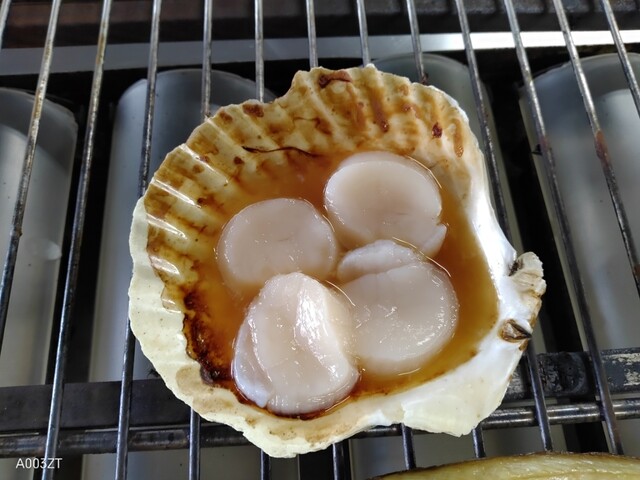 マルカイチ水産 海鮮炉端焼き的實拍高清圖