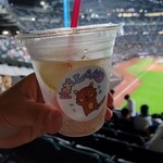 recommendations for カキランド