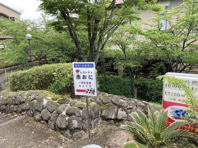 赤おに的实拍高清图