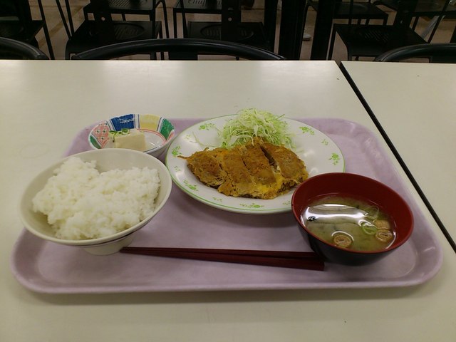 福岡大学 第二食堂的實拍高清圖