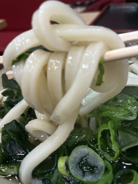 本場さぬきうどん　親父の製麺所 大崎店的實拍高清圖