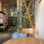 recommendations for paraiso