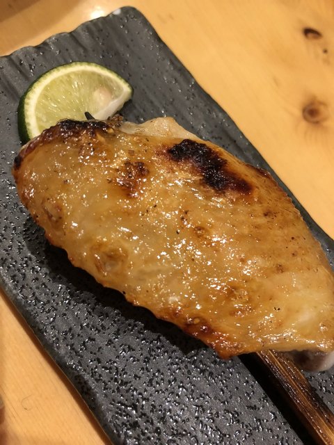 鶏鷹的實拍高清圖