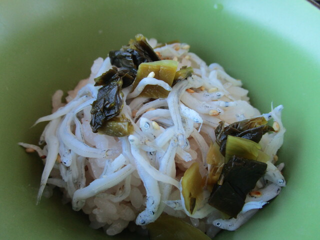 WASHOKU 蒼天的实拍高清图