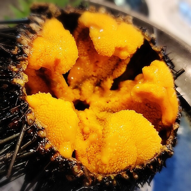 鮨 まつざわ的實拍高清圖