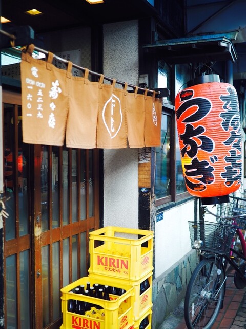 寿々喜的实拍高清图