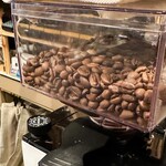 recommendations for ボーン サイ