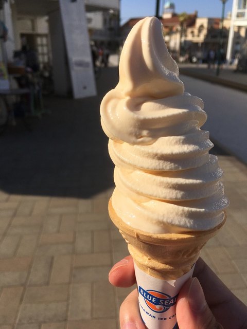 ブルーシール的實拍高清圖