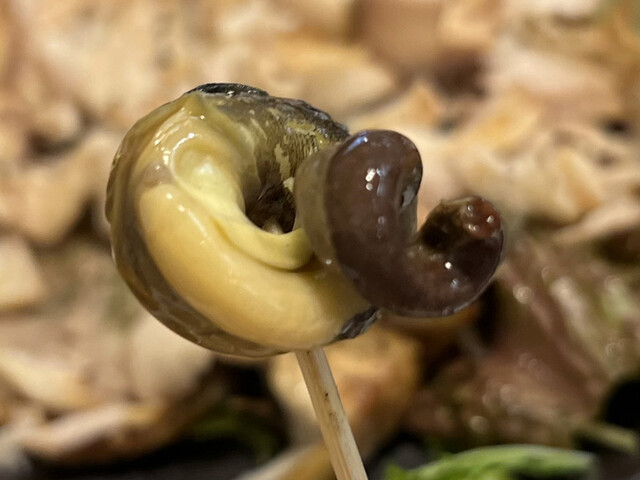 タカマル鮮魚店 4号店的實拍高清圖