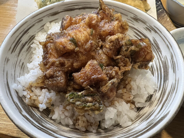 天正的實拍高清圖