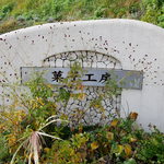 フラノデリス的实拍图