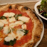 recommendations for Daniel's Mondo