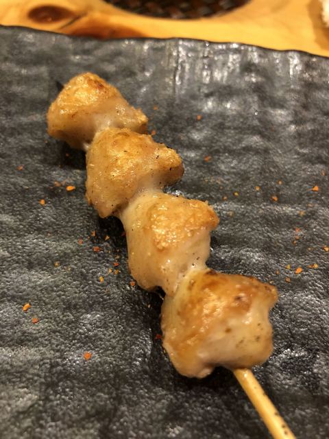 鶏鷹的實拍高清圖