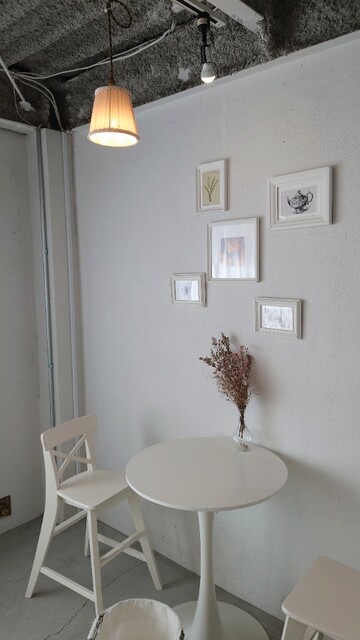 recommendations image for papillon